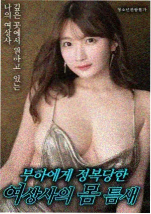 福音电影铁匠的儿子海报
